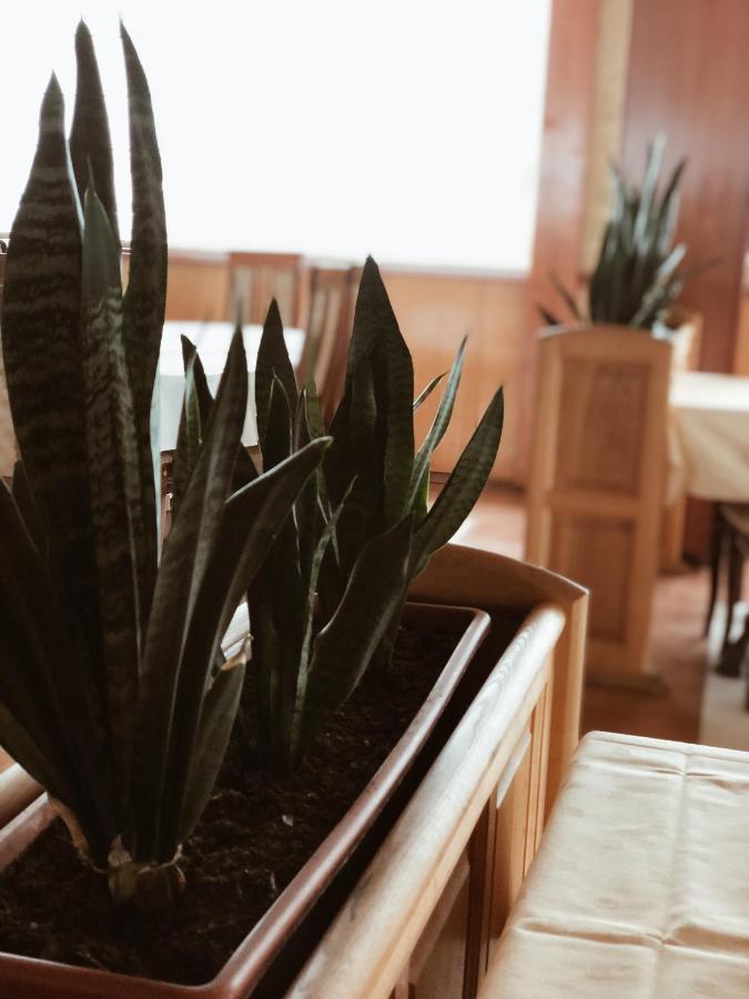 קופרס Hotel Kupres מראה חיצוני תמונה